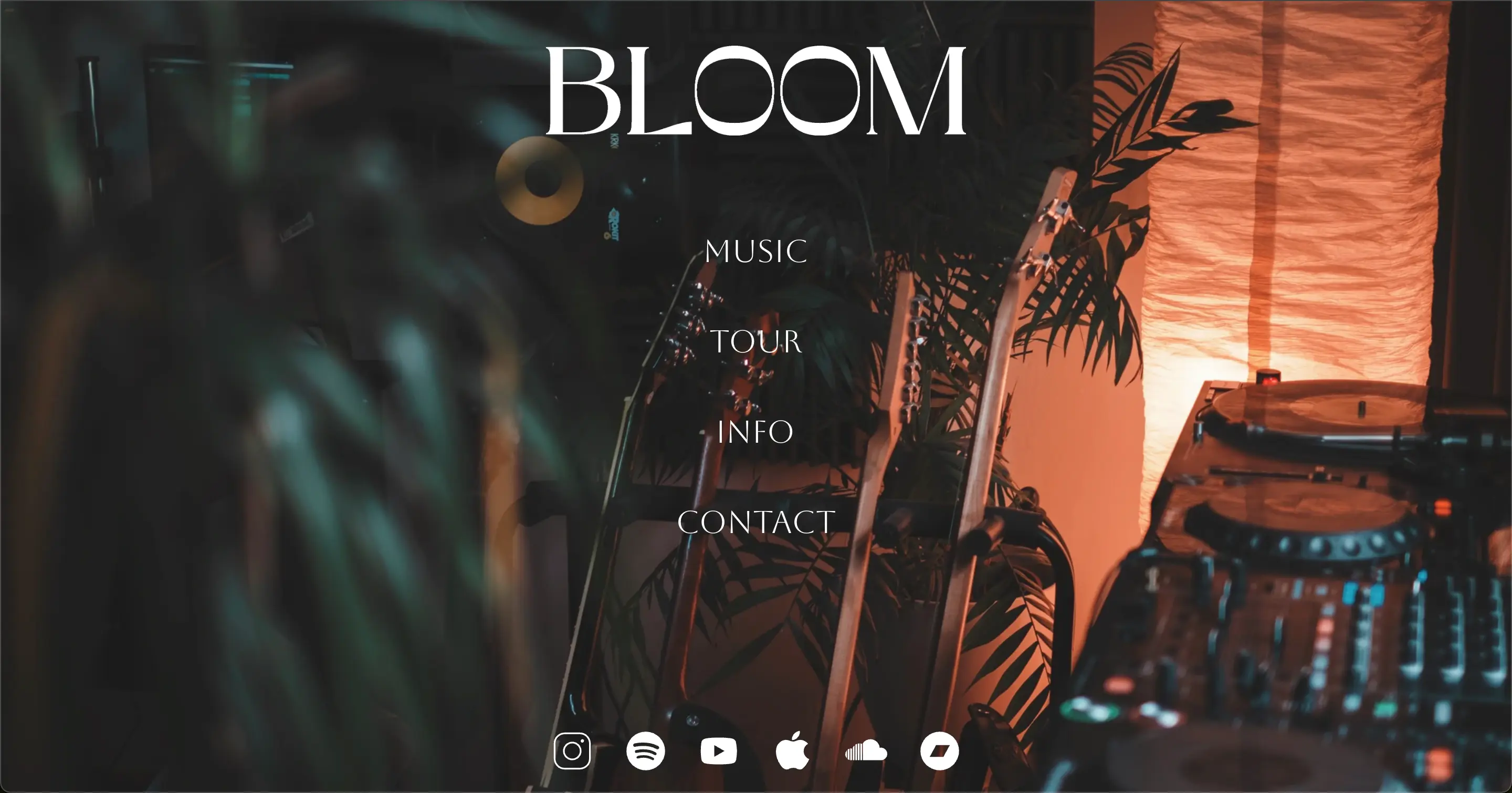 bloom website creation